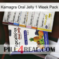 Kamagra Oral Jelly 1 Week Pack 11